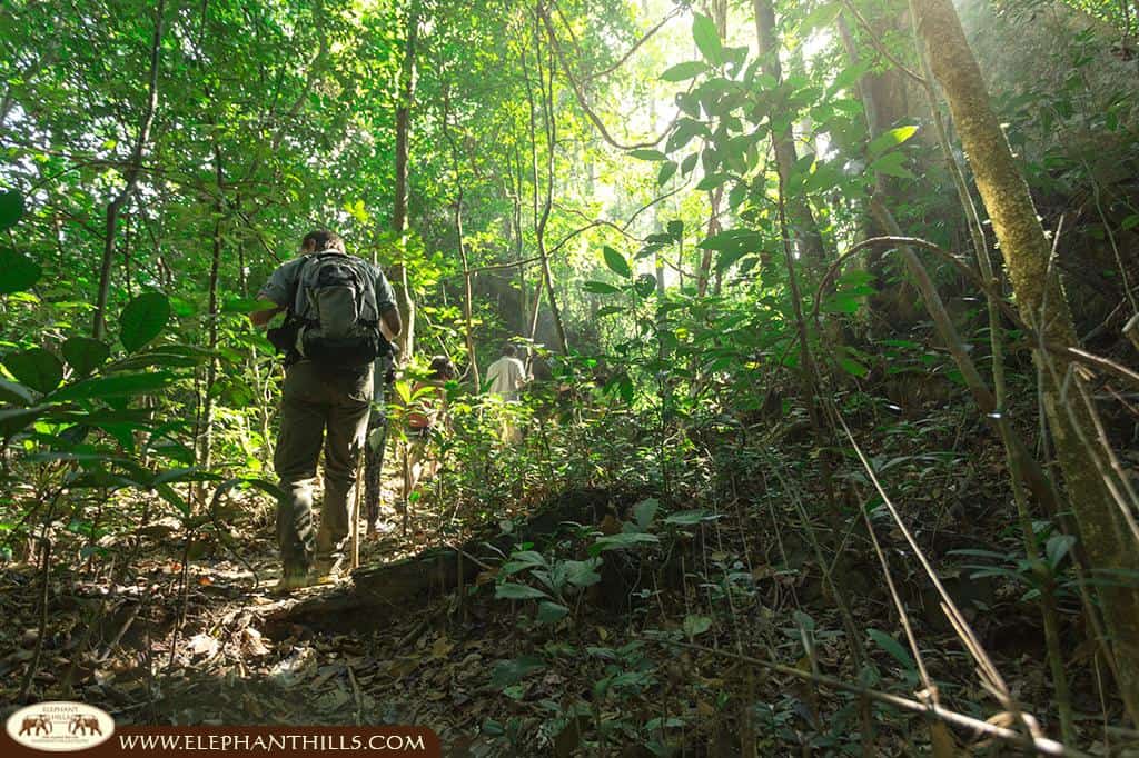 Activities and Excursions