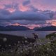 Cheow Larn Dam View Point