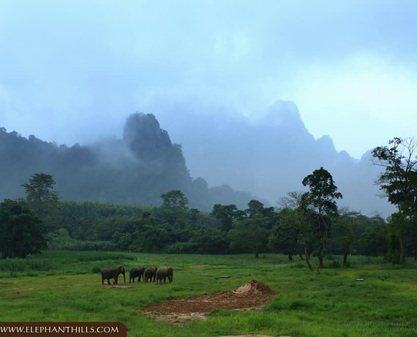 Ethical Tourism