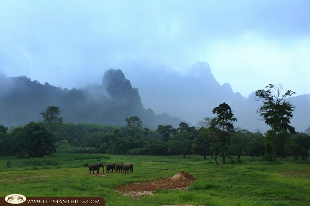 Ethical Tourism