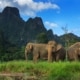 JUNGLE & LAKE CAMP SAFARI – 4 Days & 3 Nights