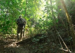 JungleTrek MainCamp 2