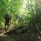 JungleTrek MainCamp 2