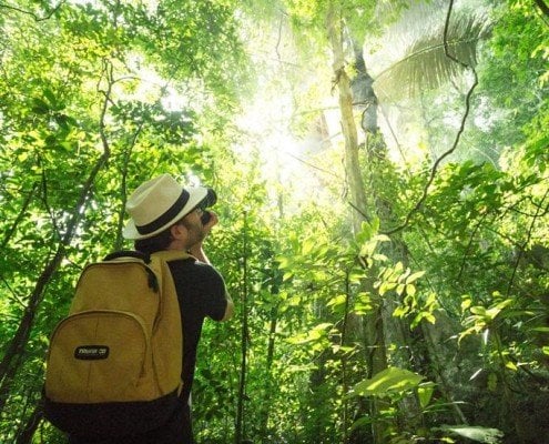 JungleTrek-MainCamp (4)