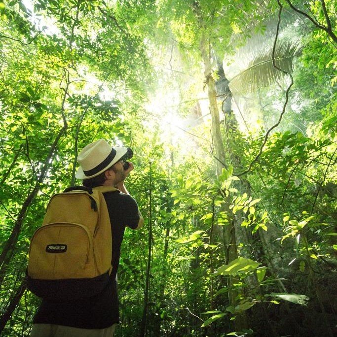 Facts about Khao Sok’s flora, over 200 species of plant in one hectare.