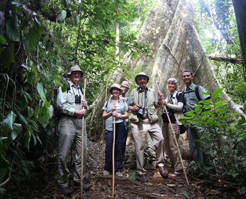 JungleTrek MainCamp 5