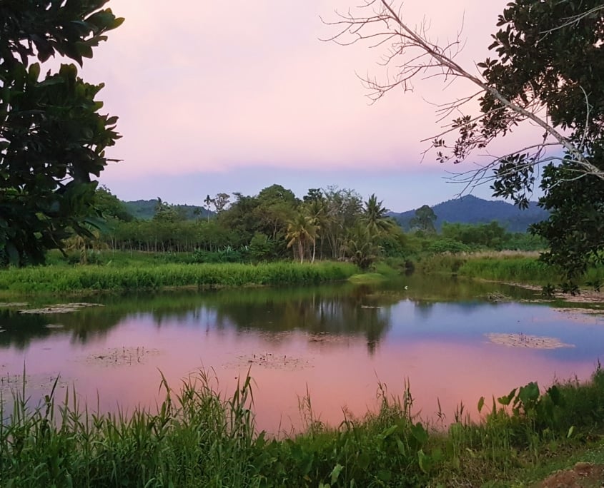 Khao Lak Nature