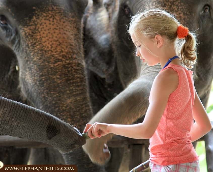 Kids @ Elephant Hills