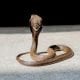 Monocled Cobra