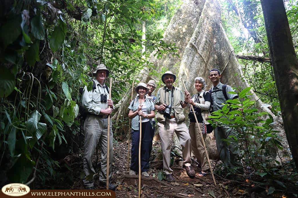 Older people at Elephant Hills