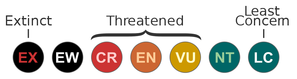 iucn red list